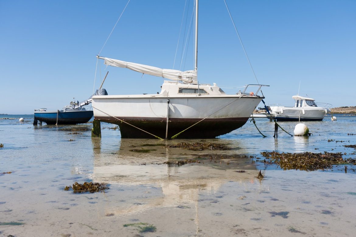 Reeds Nautical Almanac der Klassiker unter den Revierführern Beau4